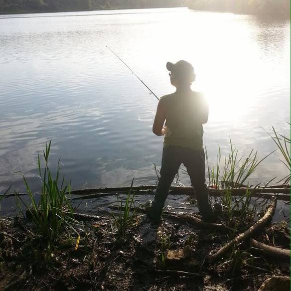 Meet your Posher, Zachary - Picture 1 of 1